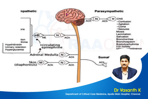 Organophosphorus Toxicity