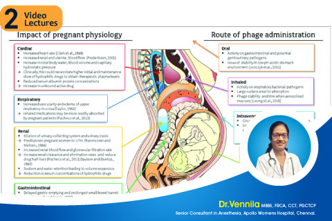Physiological Changes in Pregnancy  and Anesthetic Implications