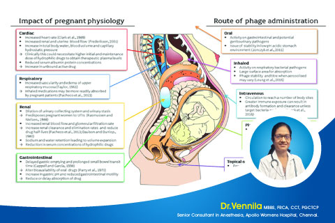 Physiological Changes in Pregnancy  and Anesthetic Implications