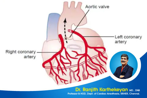 Coronary Circulation